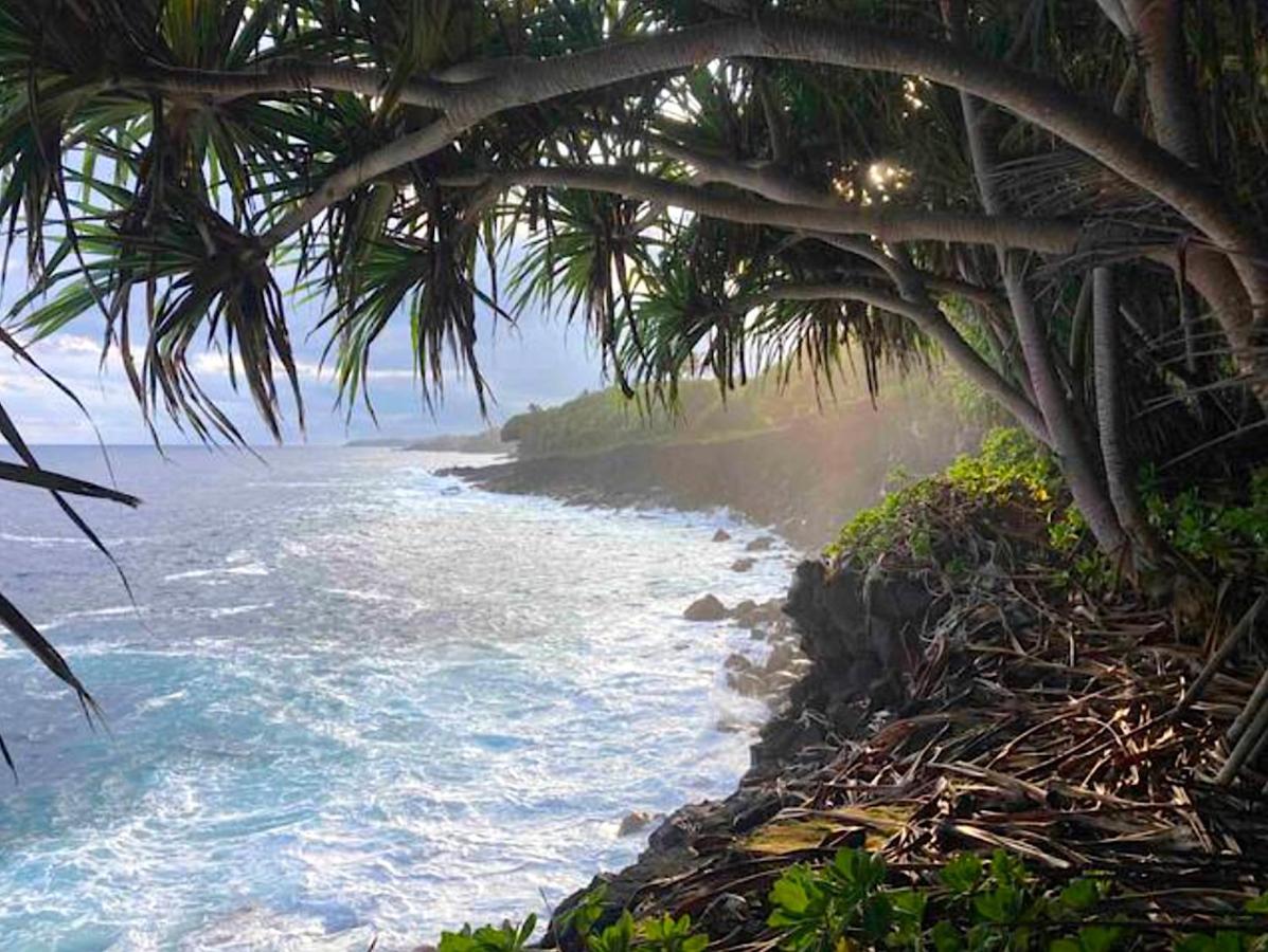 Seaside House And Aloha Bungalow Pahoa Екстериор снимка