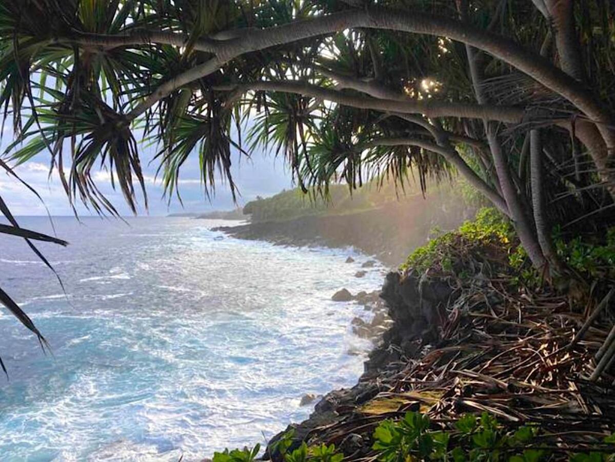 Seaside House And Aloha Bungalow Pahoa Екстериор снимка